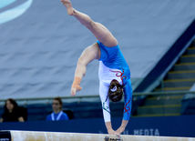 Bakıda idman gimnastikası üzrə Dünya Kuboku yarışlarının ikinci günü start götürüb. Azərbaycan, 20 fevral, 2016